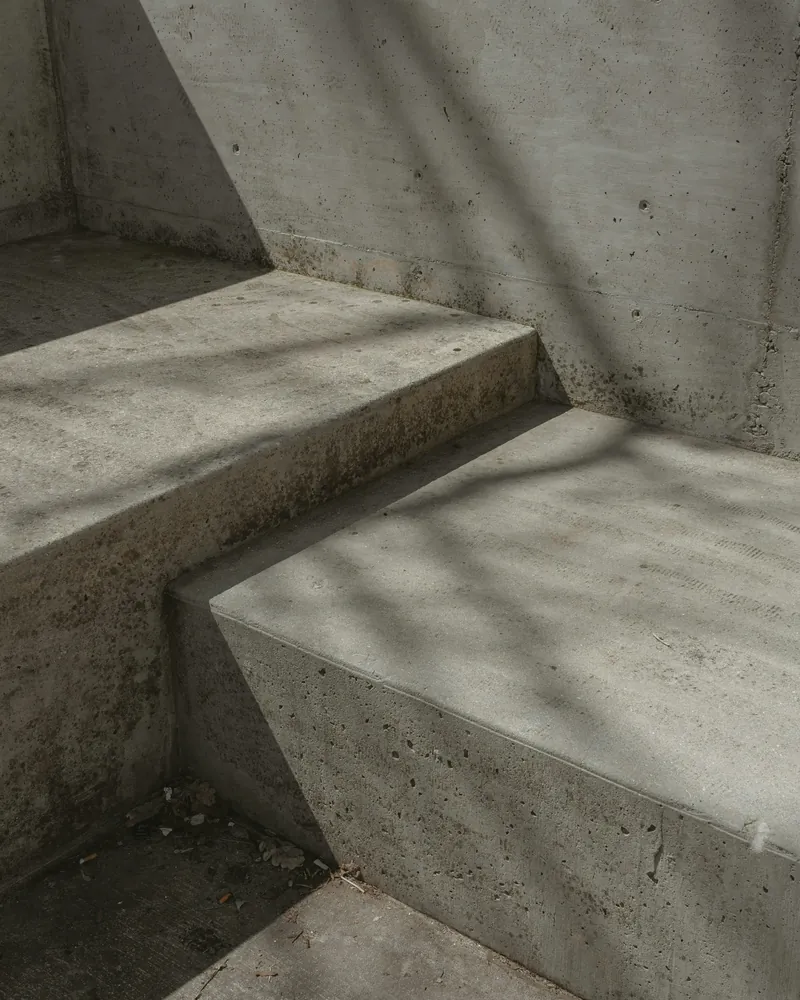 Ağaç gölgeli beton basamaklar